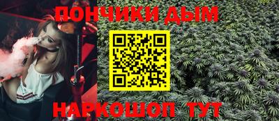 гидра Новодвинск