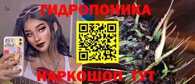 гидра Новодвинск