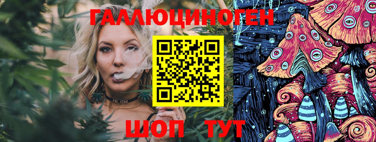 Зеленогорск  даркнет сайт  Галлюциногенные грибы Cubensis  Вход с VPN  Псилоцибиновые грибы Psilocybe 