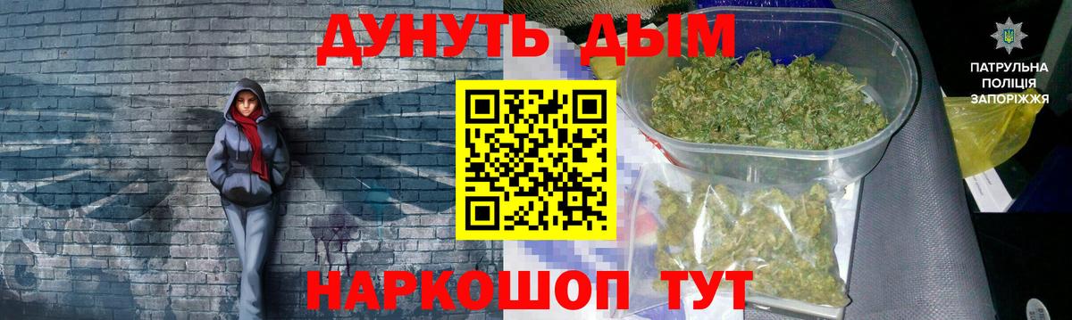 Конопля OG Kush  Зеленогорск  Бошки Шишки OG Kush  Конопля конопля  Канабис гибрид 